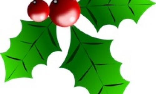 Holly-christmas-image